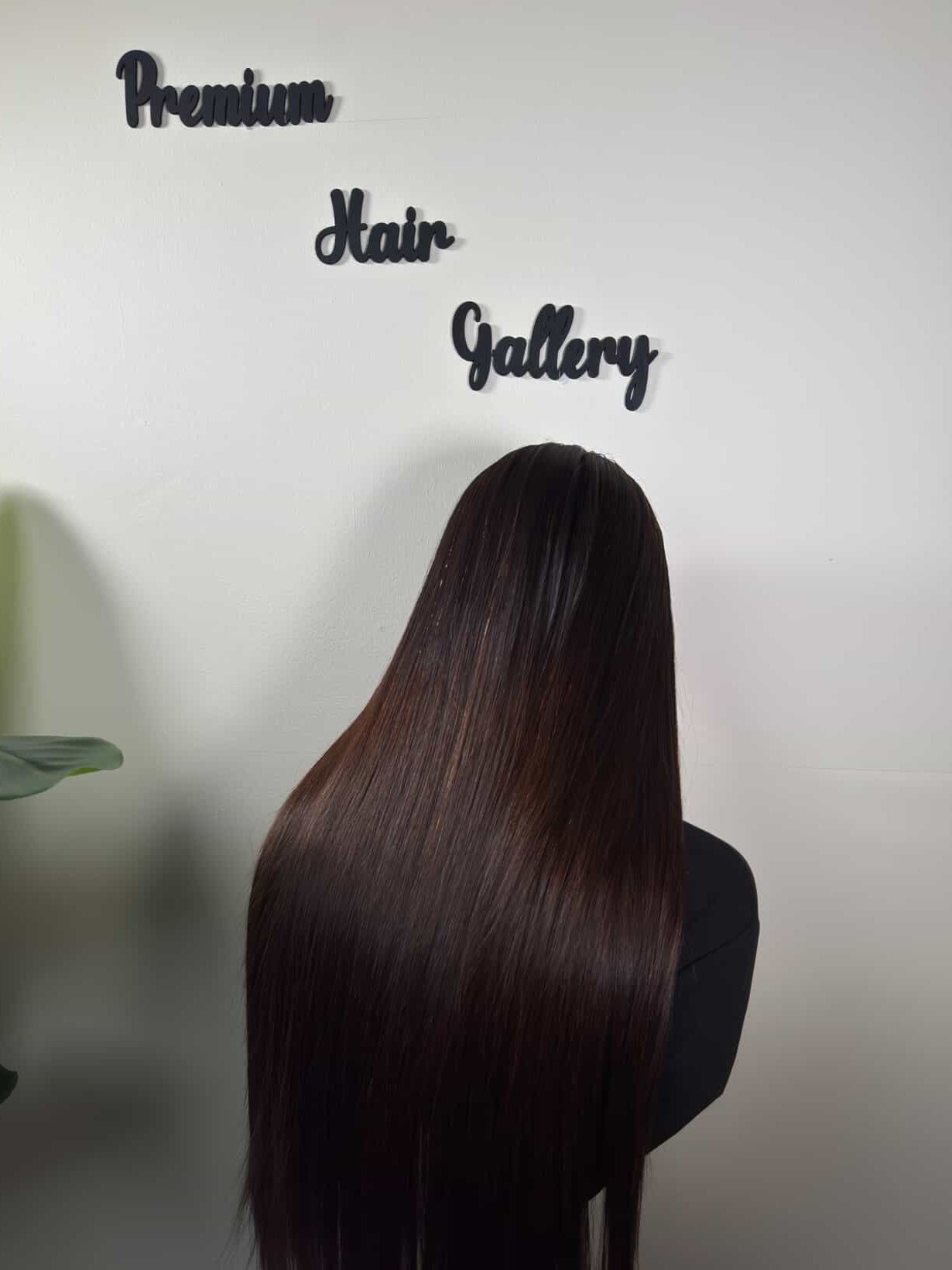 Wig Ombre