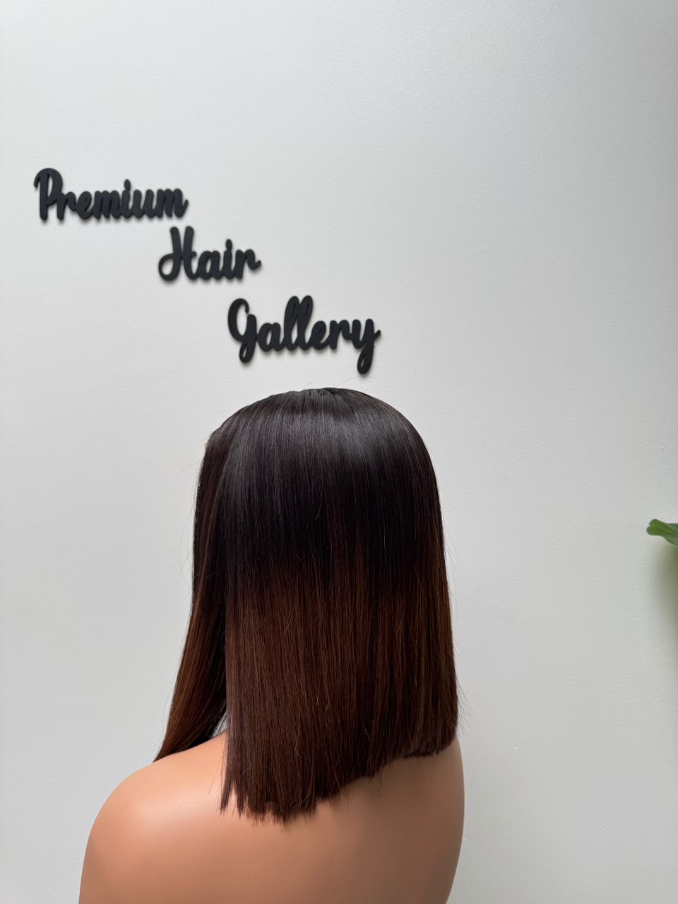 Wig Ombre