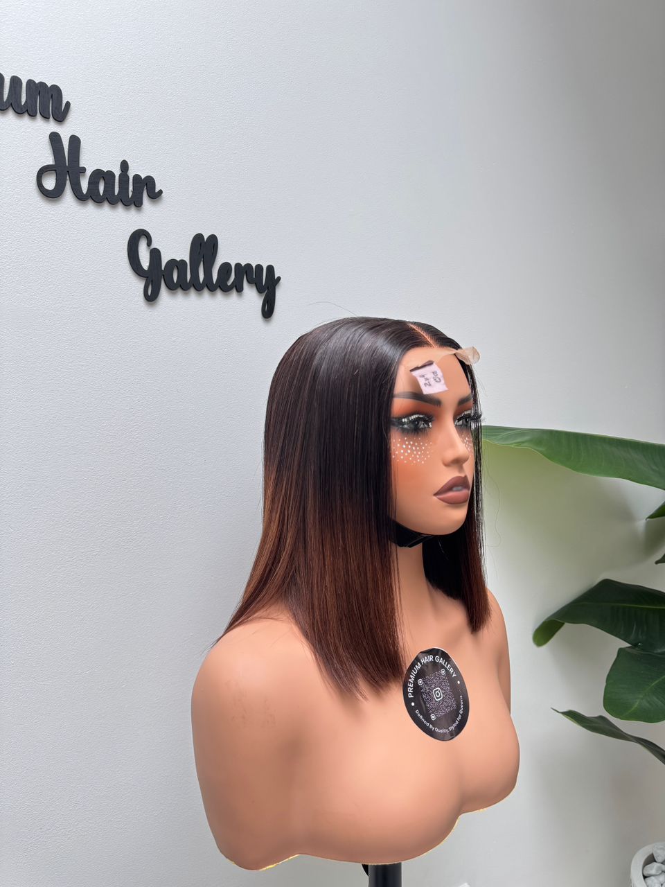 Wig Ombre