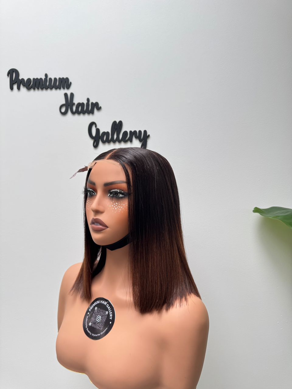 Wig Ombre