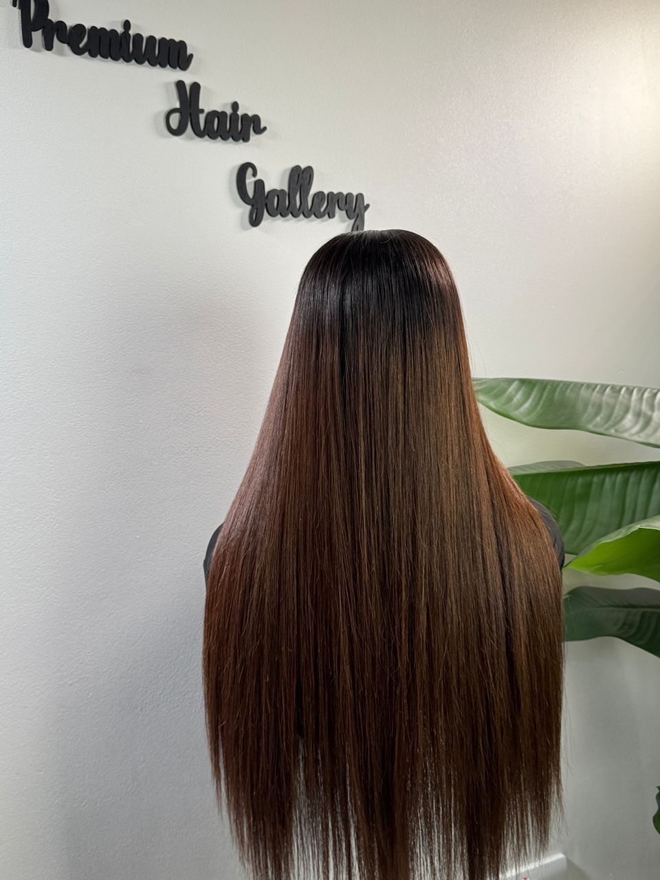 Wig Ombre Luxe