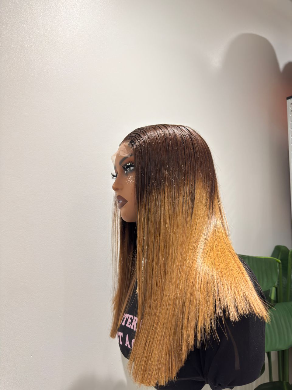 Wig Ombré (Brown)