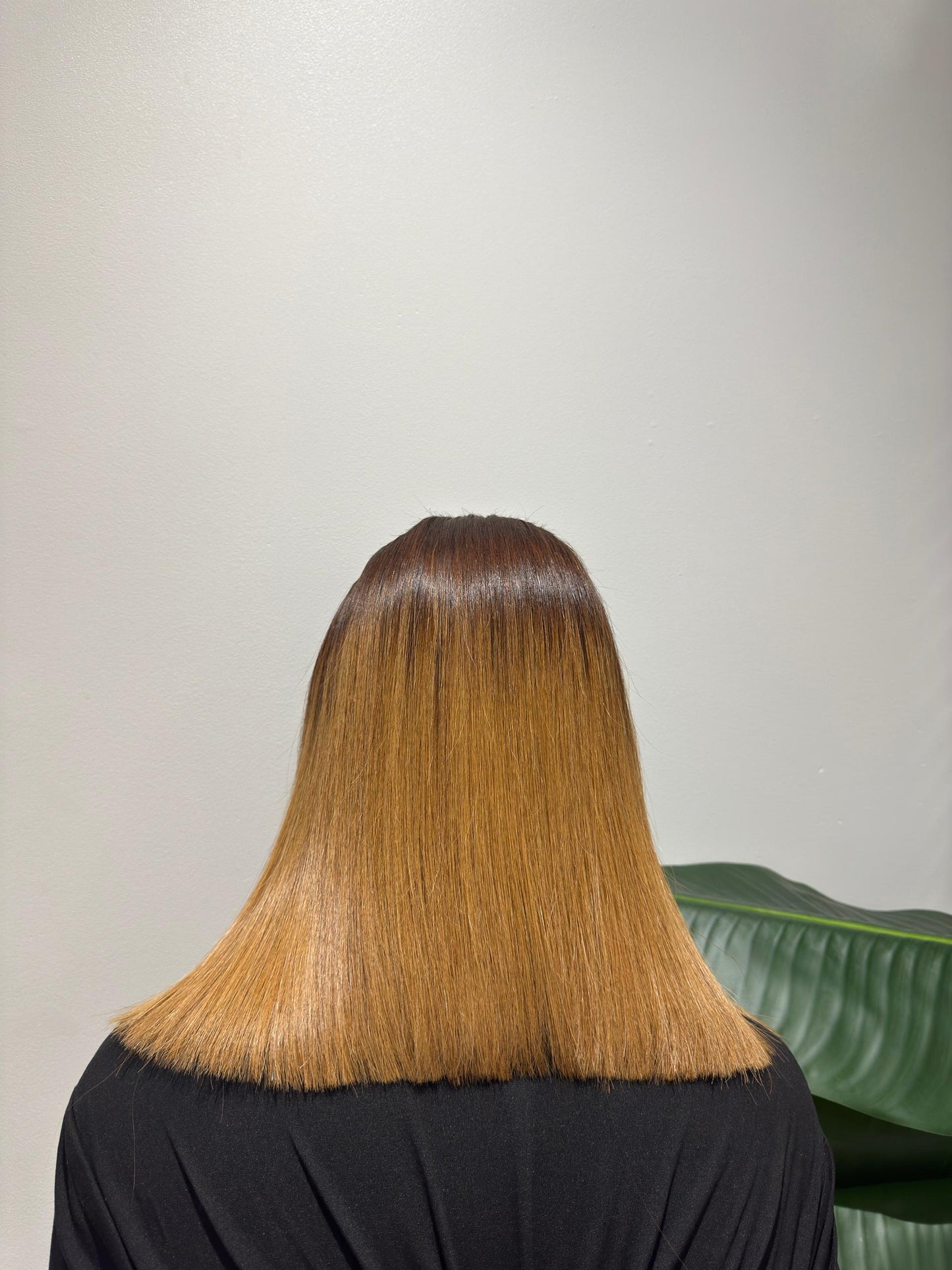 Wig Ombré (Brown 14 inches)