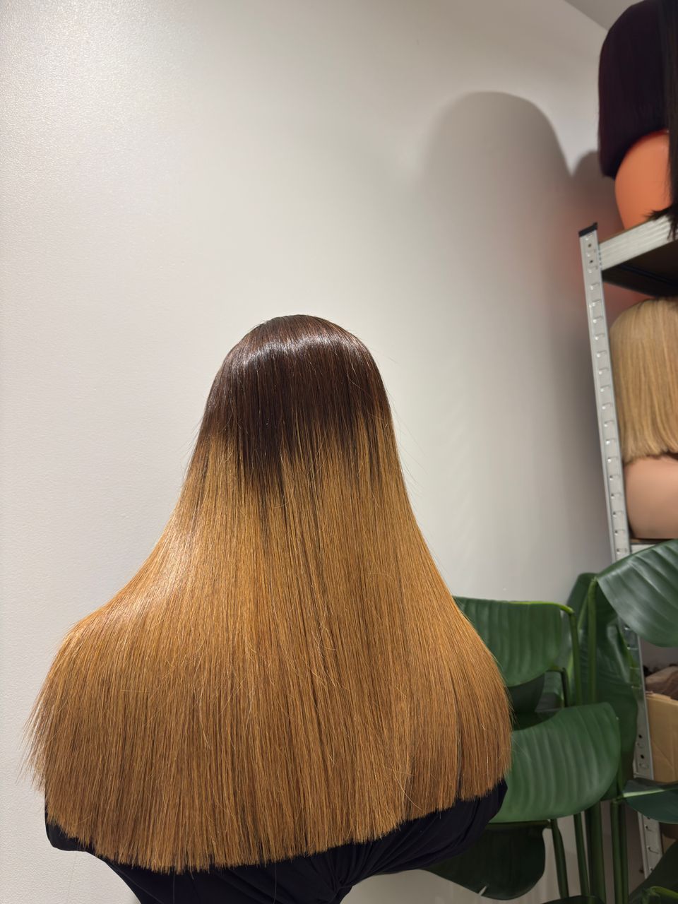 Wig Ombré (Brown)